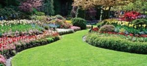 Green Lawn By Design